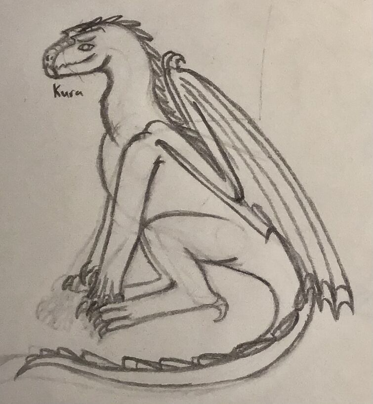 sitting dragon drawing