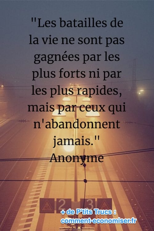 Citations Fandom
