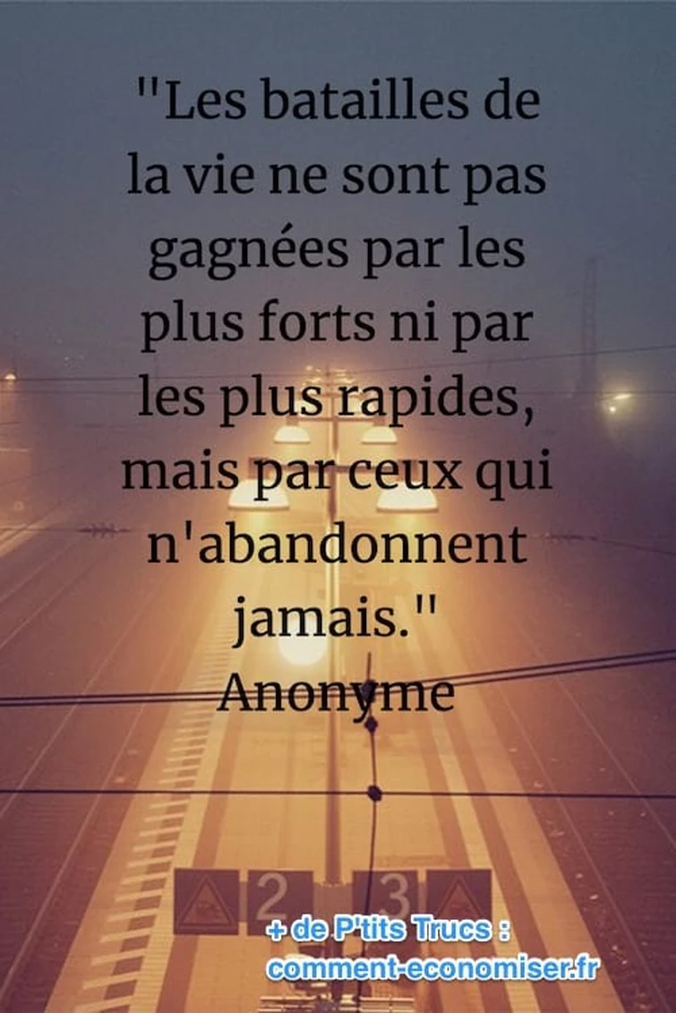 Citations Fandom