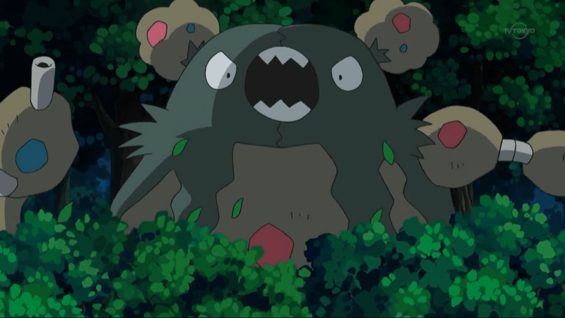 10 Unique Pokémon Variants That Only Exist In The Anime