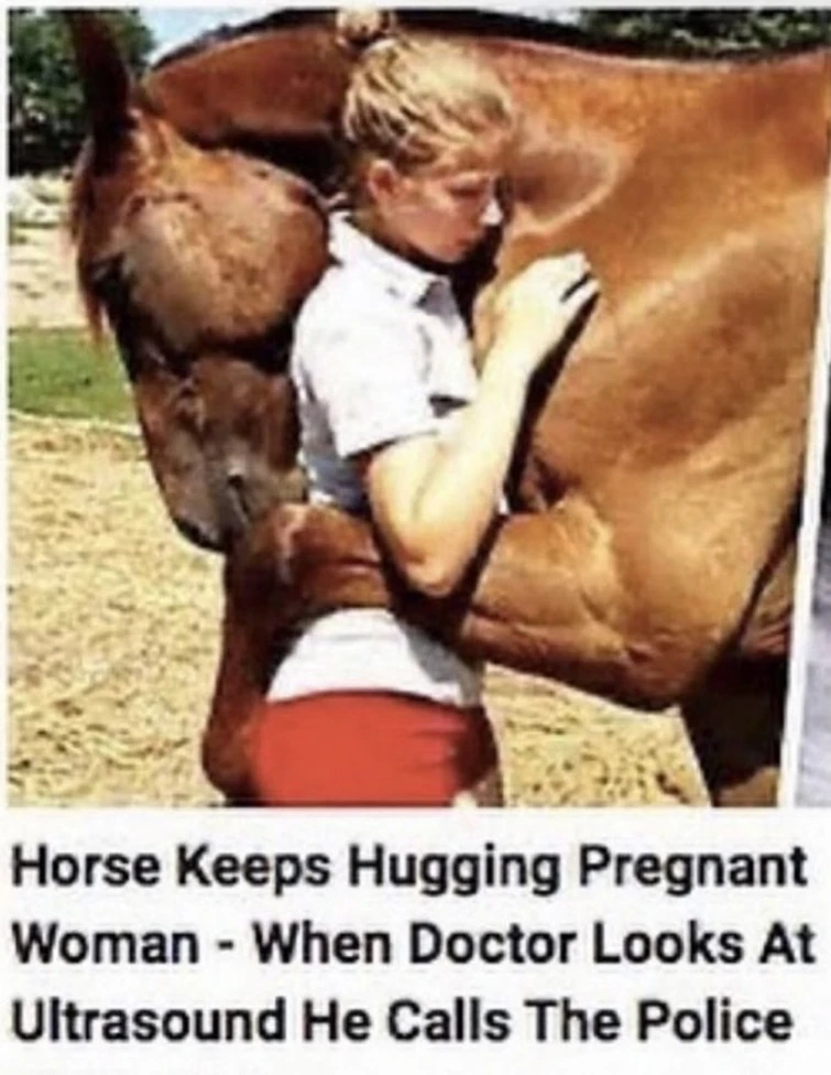 Horse (click for full image) Fandom