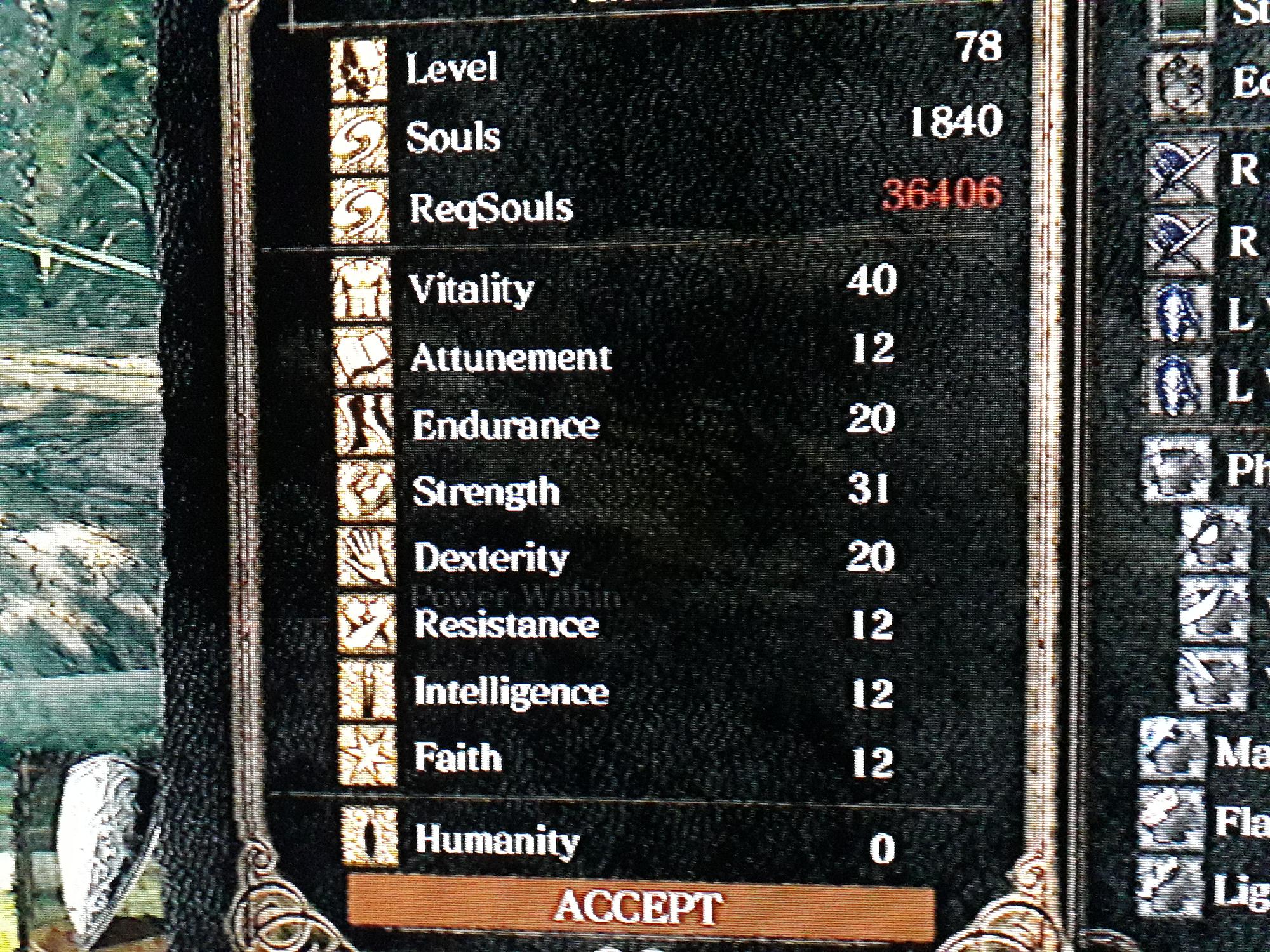 Dark Souls Dex Build Armor