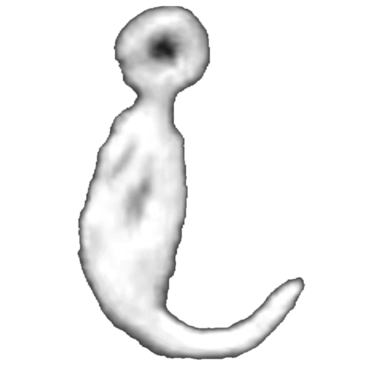 Discuss Everything About Endless doors Wiki Fandom