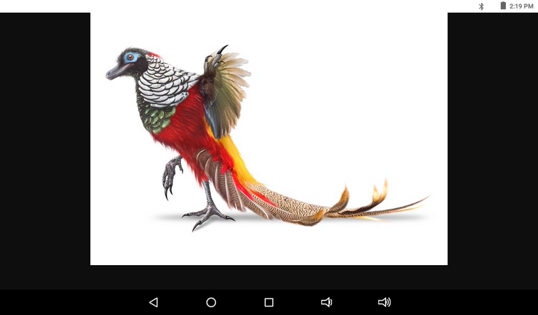 what do you guys think of this beautiful novosaur
