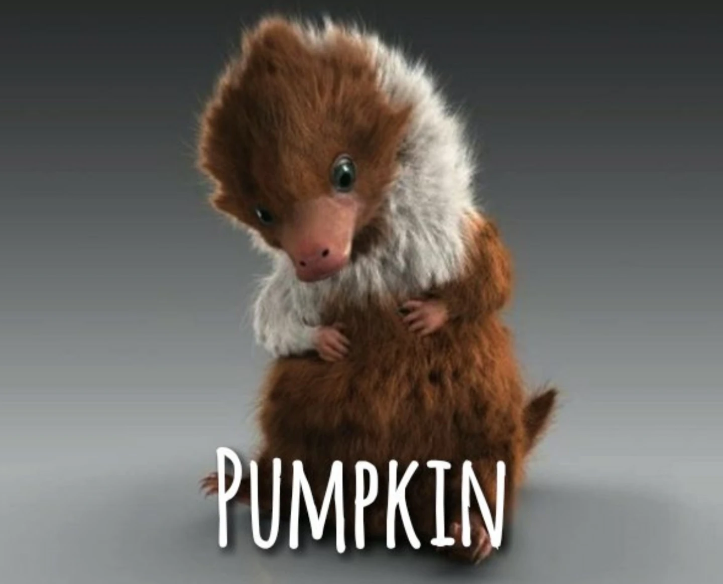 Baby Niffler names! Fandom