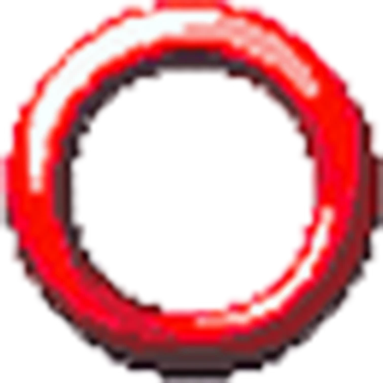 Can we explain why the sonic exe mod has a red ring on it instead of a
