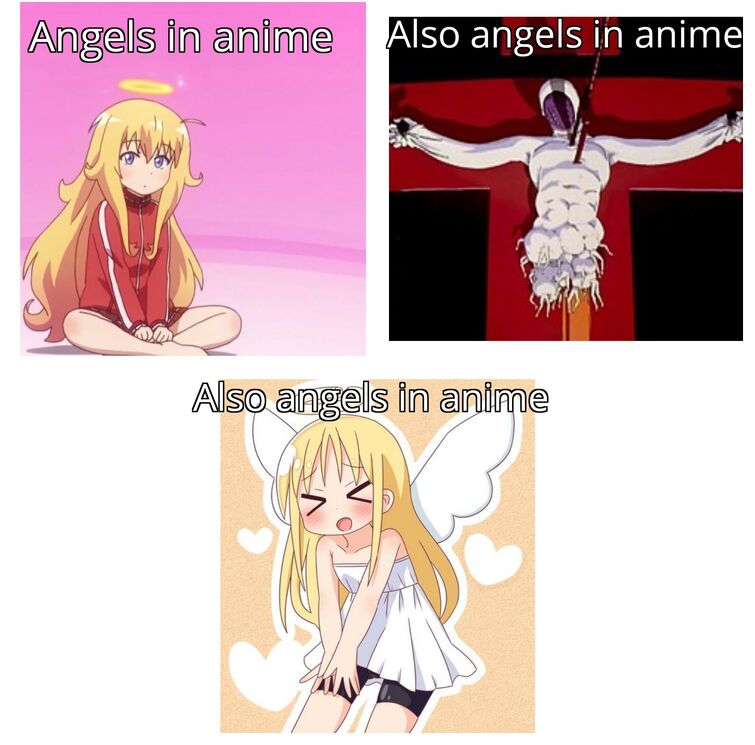 anime meme  The Fandom Post