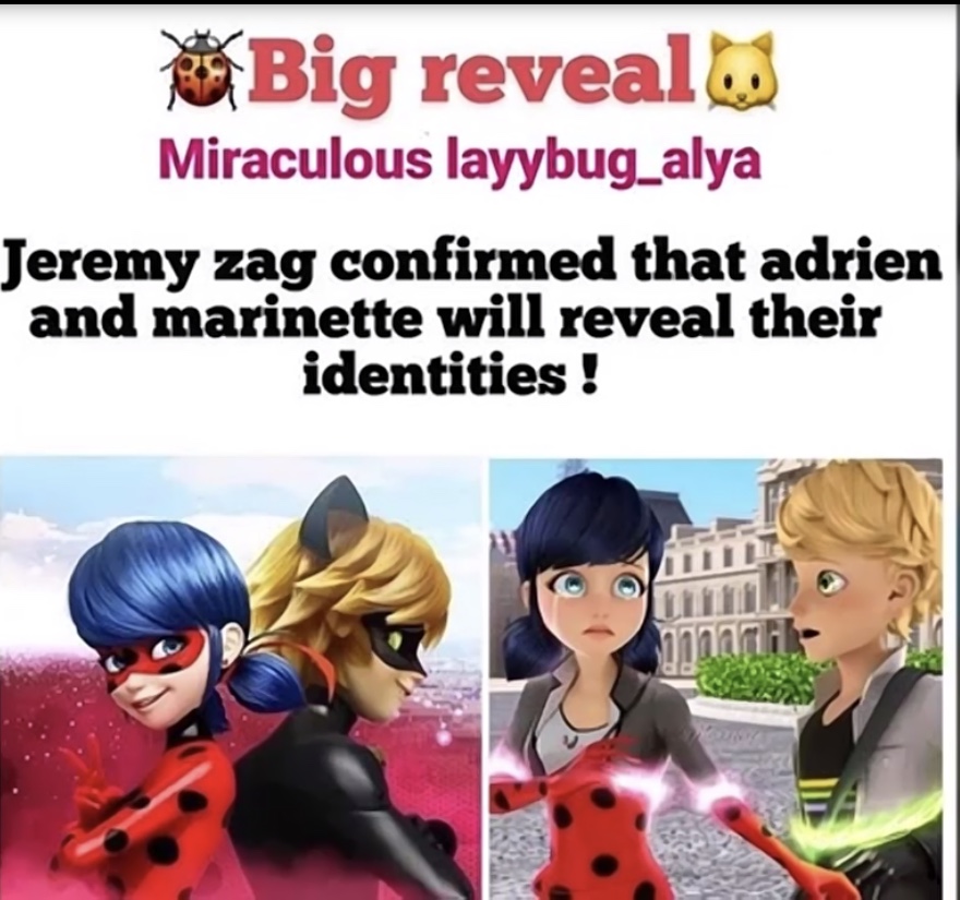 Beautyful Cats Will Ladybug And Cat Noir Reveal Their Identities