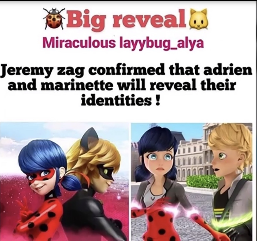 WILL LADYBUG AND CAT NOIR REVEAL THEIR IDENTITIES IN THE FILM?? 