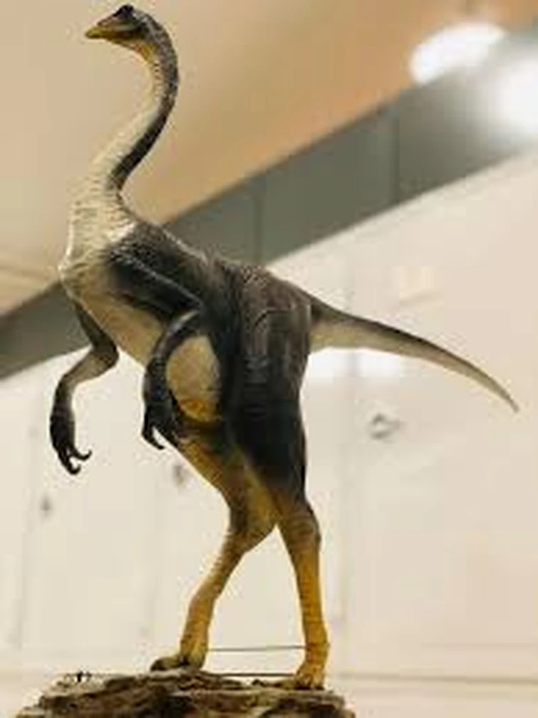 Discuss Everything About Dinopedia | Fandom