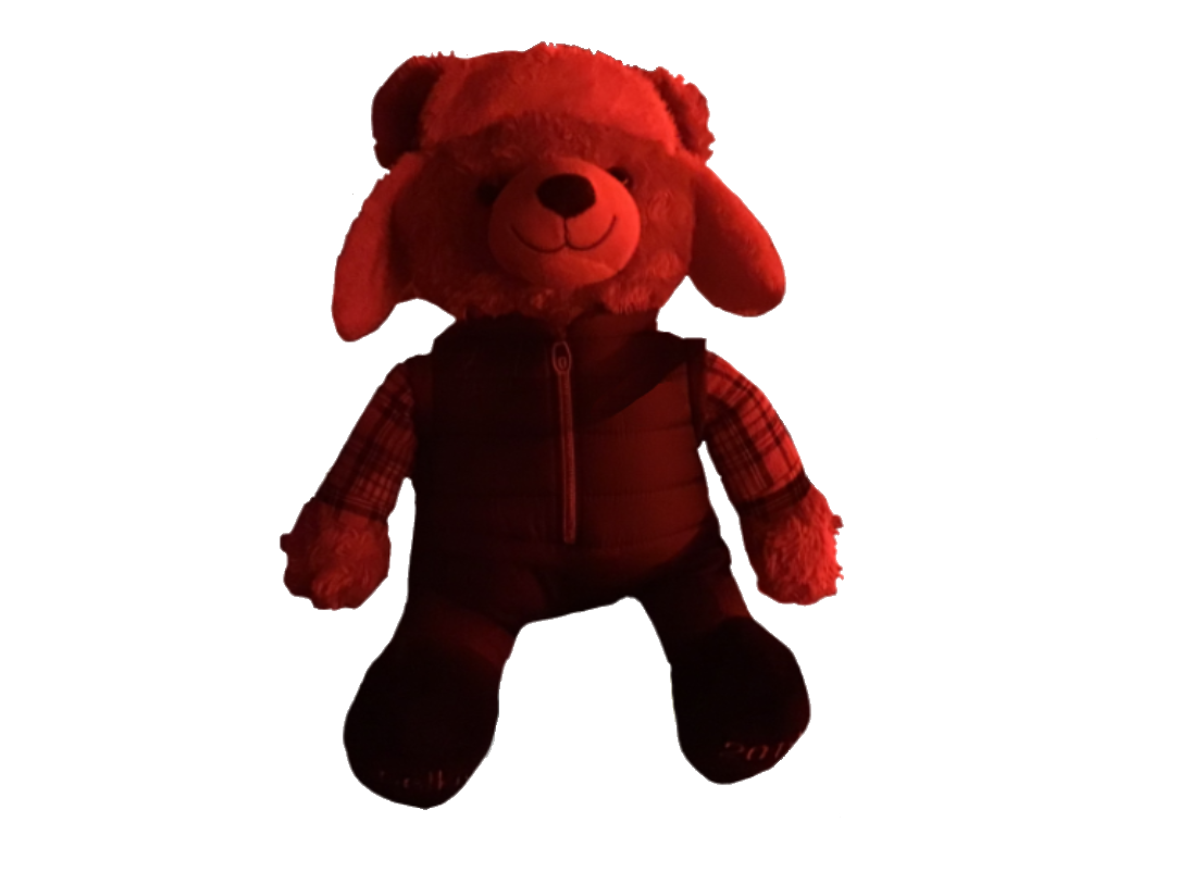 Roblox bear