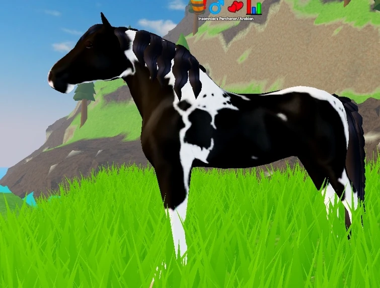 Discuss Everything About Wild Horse Islands Wiki Fandom