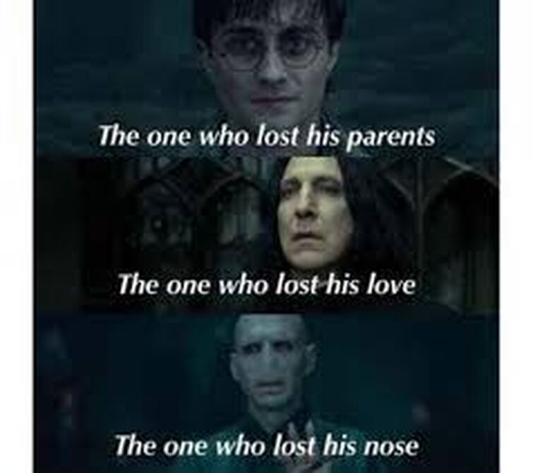 25 Memes Proving Lord Voldemort Was Less Than Intimidating As a Villain in Harry  Potter - Geek Universe - Geek, Fanart, Cosplay, Pokémon GO, Geek Memes