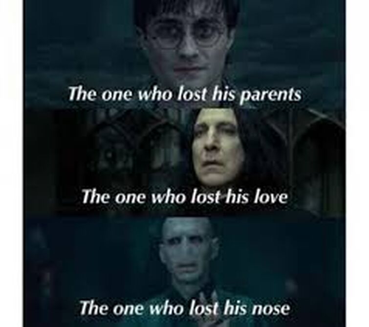 Funny Voldemort Meme