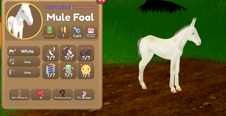 Selling mules and hinnies! | Fandom