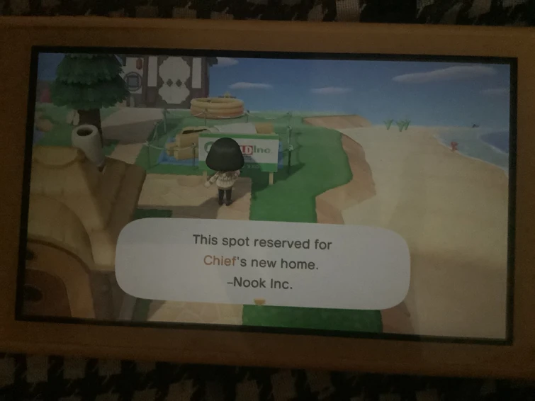 Can anyone tell me which day I can hunt for villagers in ACNH? Fandom