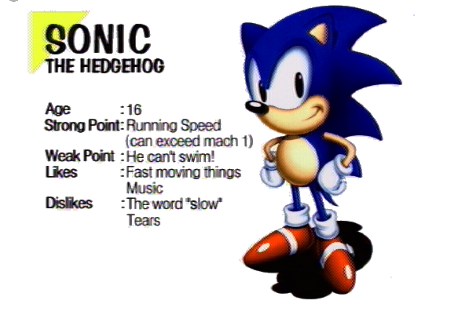 How old is Sonic? Fandom