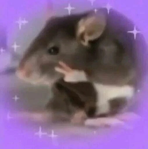 rat】🥹 (New pfp) | Fandom