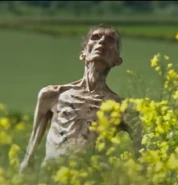 Jim (28trailer).png (504 KB)