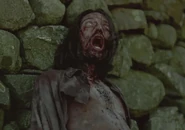 StarvInfected2.png (265 КБ) Голодный заражённый