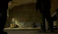 Cellar