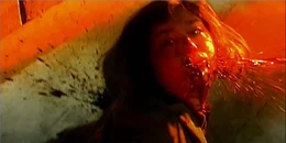 An animal rights activist, bitten by an infected chimpanzee, becomes the first infected human