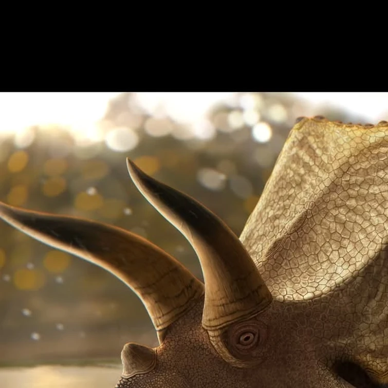 Gustavo Monroy on Instagram: "𝘊𝘰𝘢𝘩𝘶𝘪𝘭𝘢𝘤𝘦𝘳𝘢𝘵𝘰𝘱𝘴 𝘮𝘢𝘨𝘯𝘢𝘤𝘶𝘦𝘳𝘯𝘢 . . . Primero que nada quiero felicitar a @daniela.bee.gee por esta primer publicación y por todo el trabajo detrás de la misma, al mismo tiempo quiero agradecerle la ...