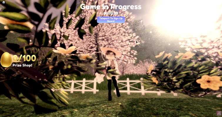 Some Aesthetic Pictures I Took On Roblox I Can t Figure Out How To Crop On PC Lol Fandom