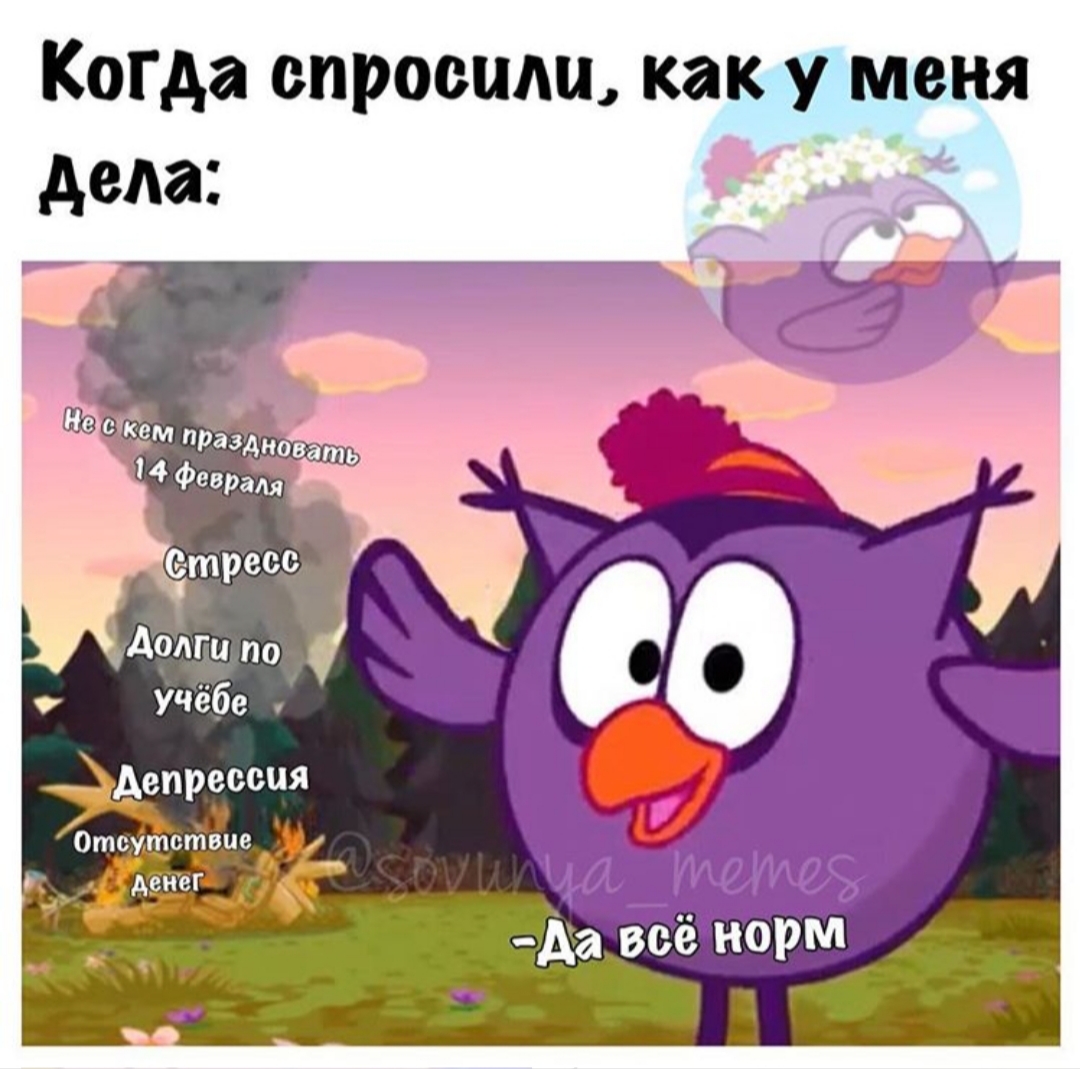 Смешная Совунья