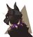 Amyisweird's avatar