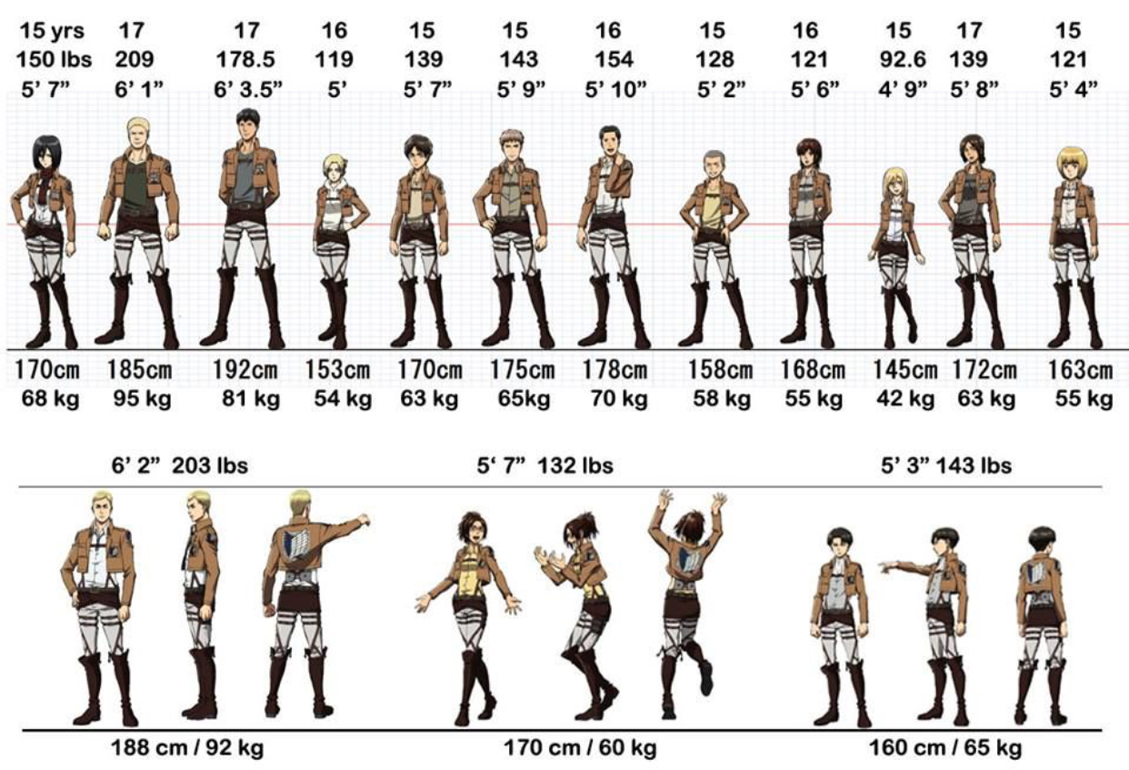 Height and weight for all attack on Titan character | Fandom