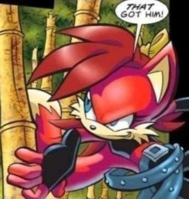 Fandom Image