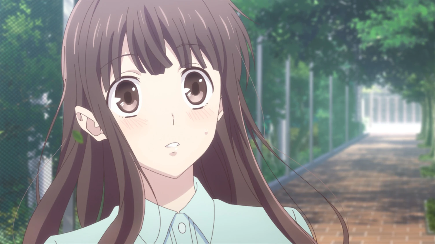 Fruits basket New movie? and spinoff + Stage play? Fandom