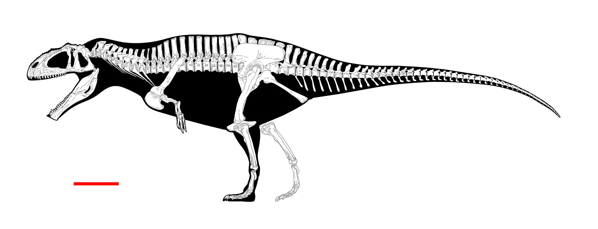 What Meraxes did to Giganotosaurus | Fandom