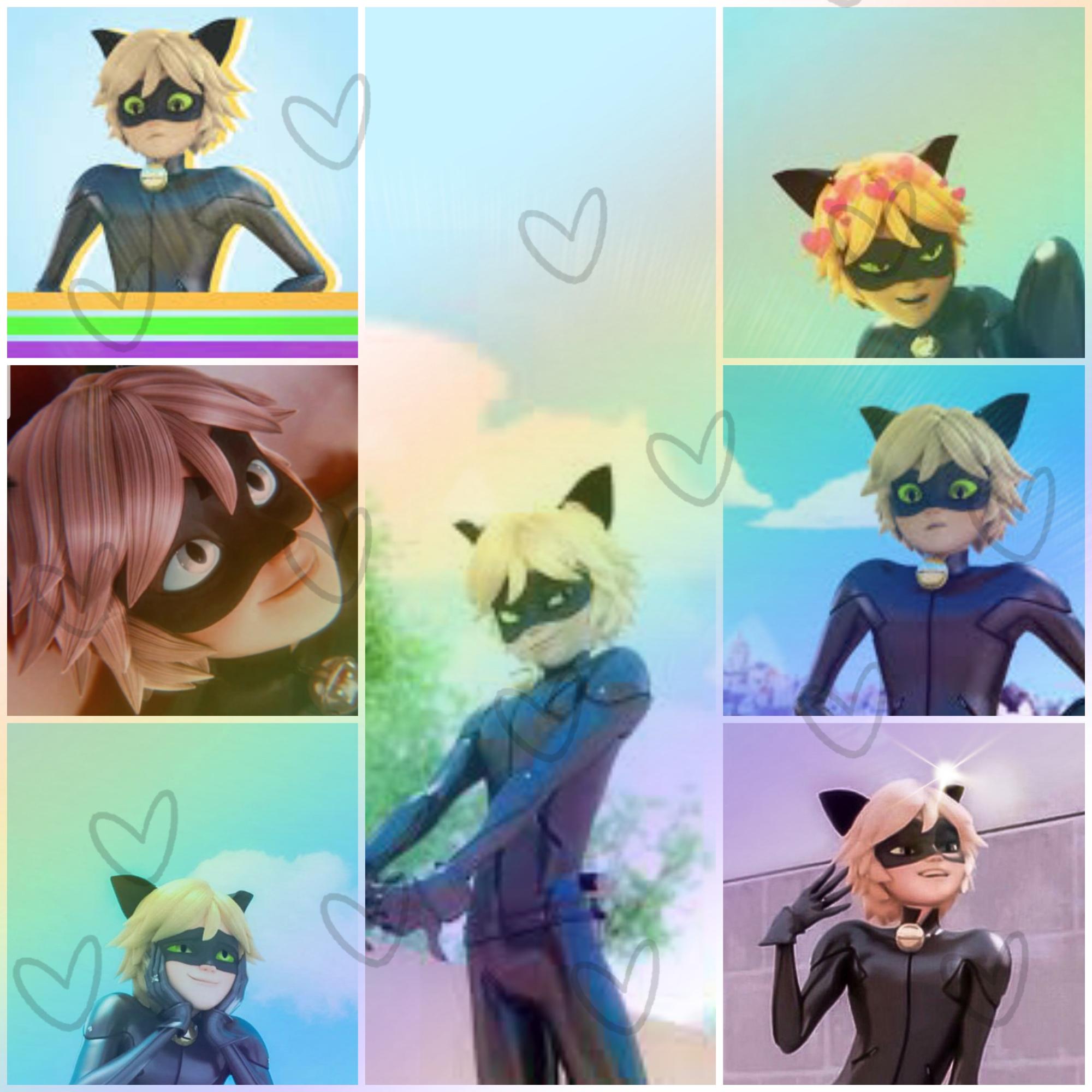 Cat Noir Wallpaper Edit Fandom