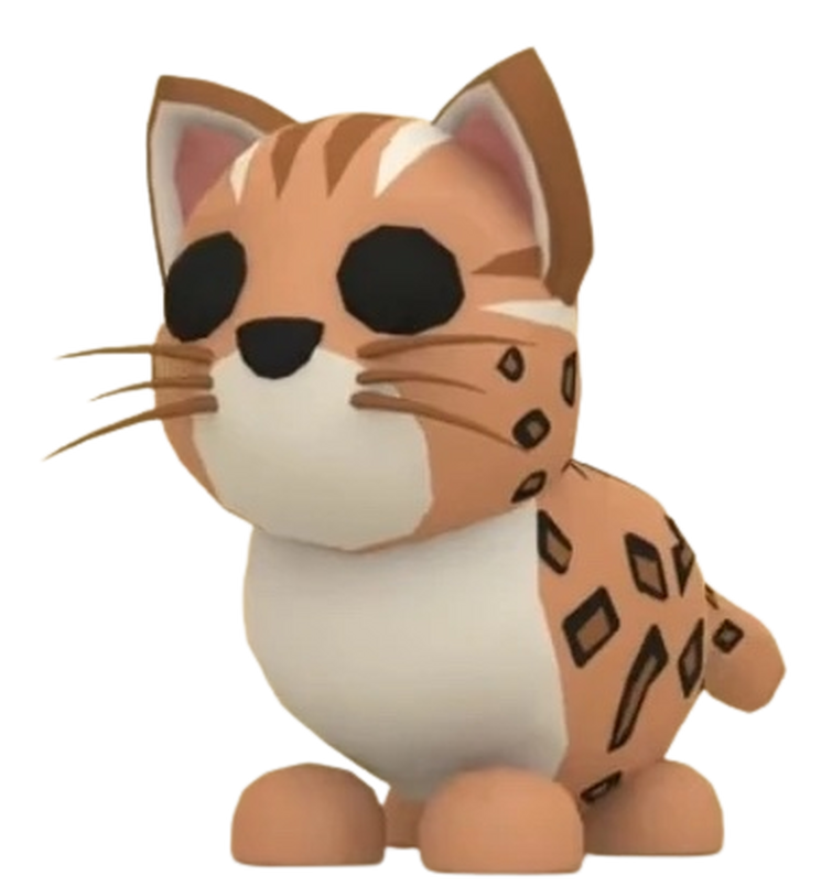 indian leopard = leo cat + less preppy | Fandom