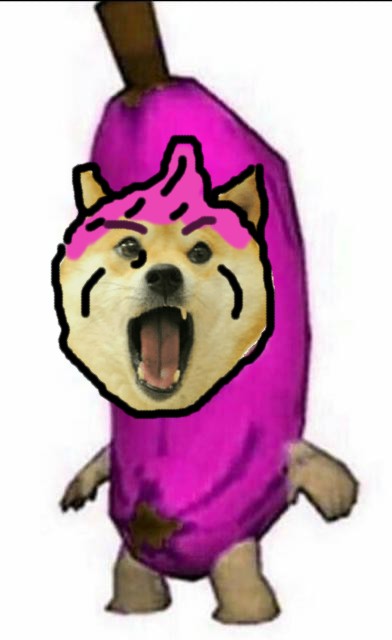 Doge Pfp Meme Anime