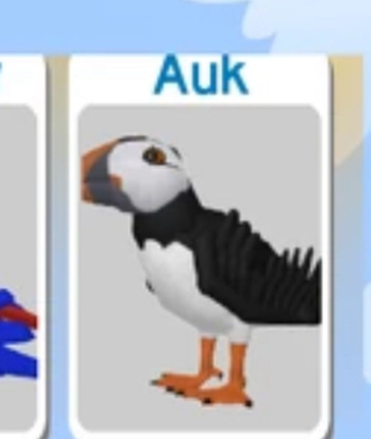 Discuss Everything About Feather Family Wiki | Fandom