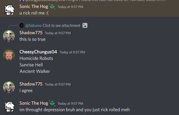 So about the time I rickrolled someone on SMG4's Discord server..