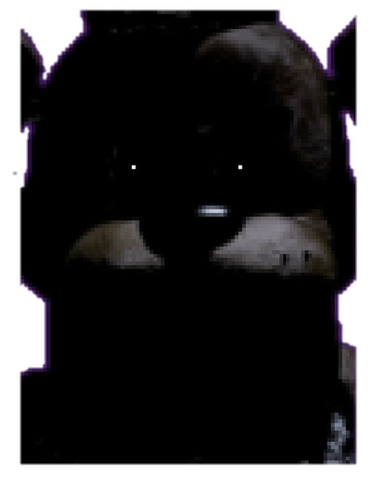 UCN Spoilers] Have a transparent Buff Anime Foxy! : r/fivenightsatfreddys