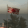 RisingSun2013