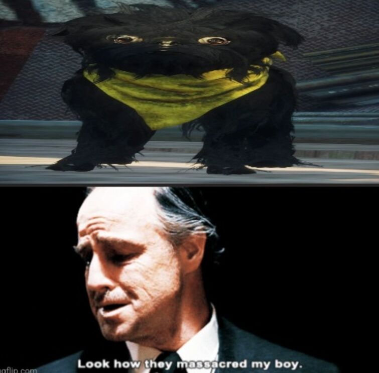 Fandom Image