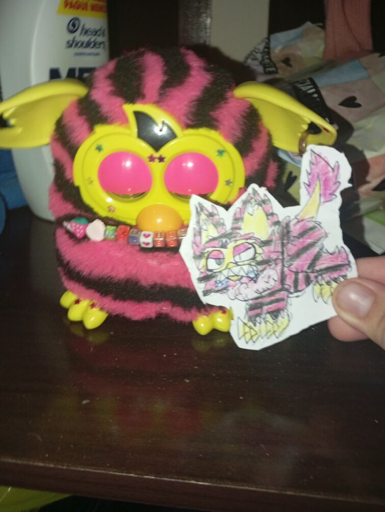 Fandom Image