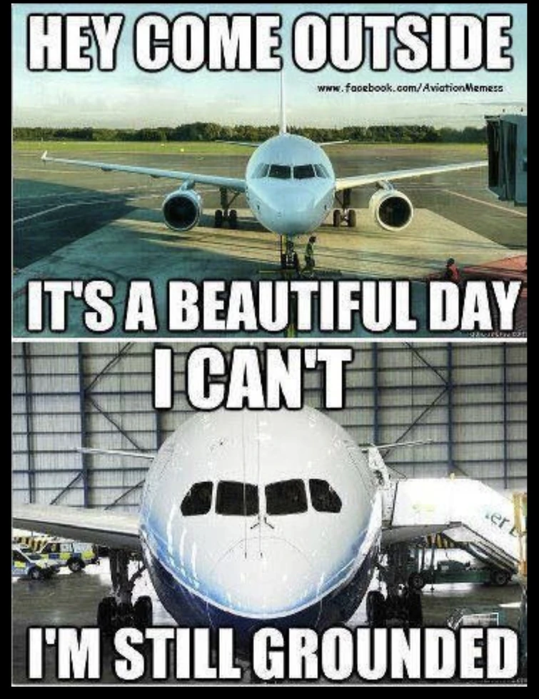 Airplane Memes Fandom