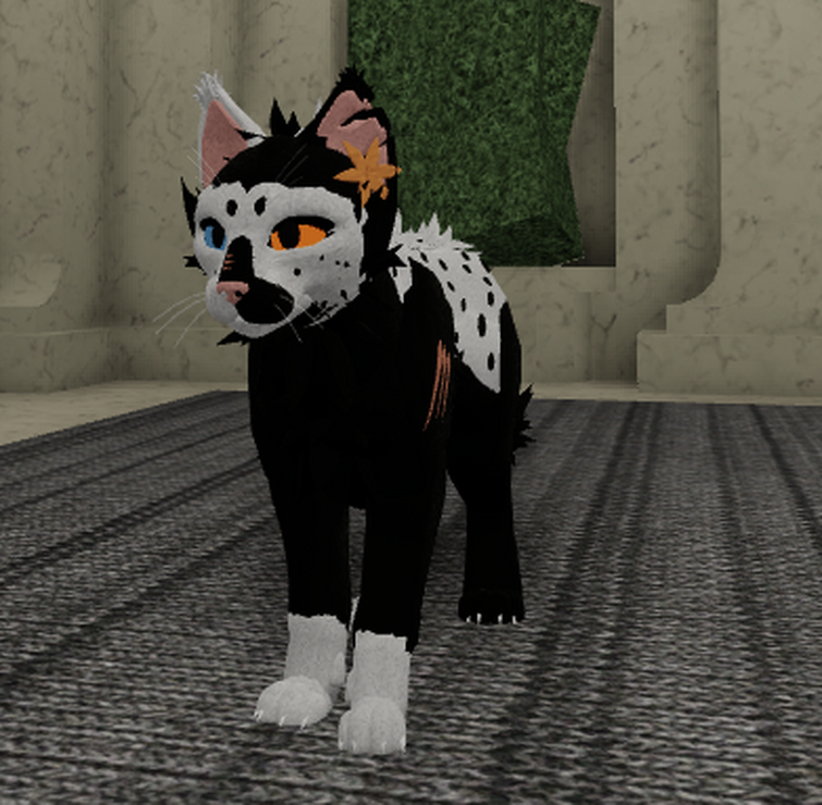 Warrior Cat Ocs Roblox - skins warrior cats roblox oc ideas