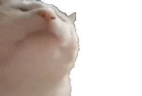 2bdf906d-a7eb-4fd1-bc17-9e0d8d7c7fbc