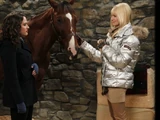 Chestnut