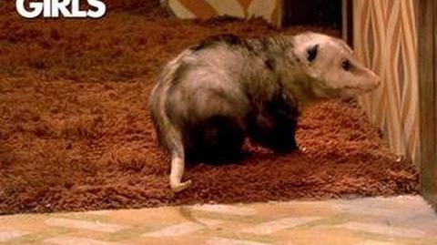 2 Broke Girls - Pulling Out The Possum
