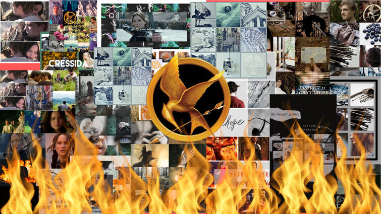 Catching Fire The Hunger Games Movie Review  Hunger games characters, Hunger  games, Hunger games fandom