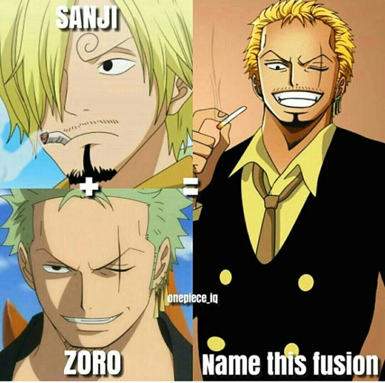 💥ZORO ET SANJI💥 | Fandom